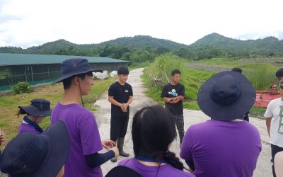 [월드프렌즈 NGO 봉사단] 캠프 딸락팀과 첫 비전트립팀과의 만남! (2019.7월)